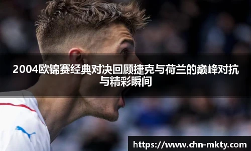 2004欧锦赛经典对决回顾捷克与荷兰的巅峰对抗与精彩瞬间